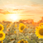Été