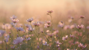 Printemps